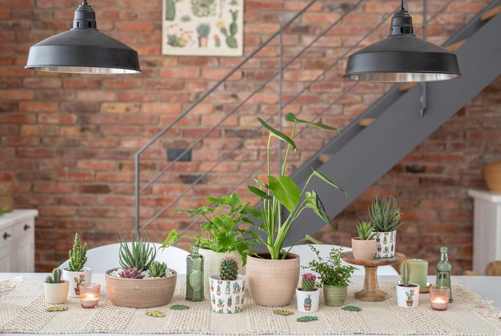Produktbild Scheurich Blumentopf 866 (18.80 cm)