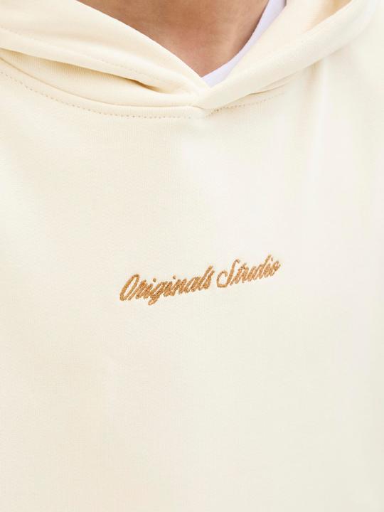 Produktbild Jack & Jones Jornorrebro Emb Sweat Hood Noos Jnr (140)