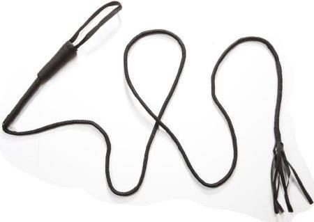 Image du produit Widmann fouet