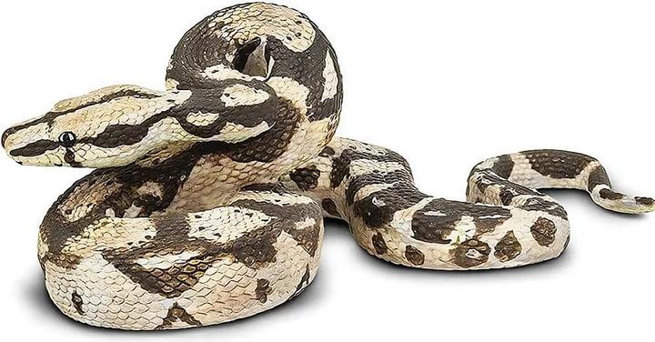 Produktbild Safari Boa Constrictor