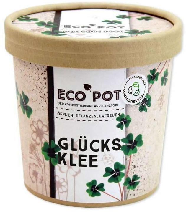 Image du produit Feel Green EcoPot Glücksklee