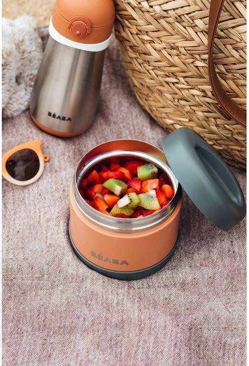 Actual product image Beaba Inox Portion Iso 500ml grey/terracotta