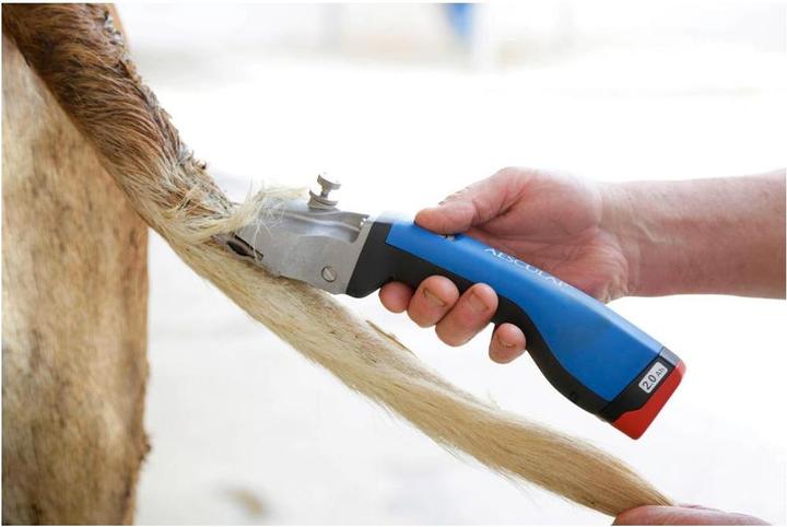 Actual product image Kerbl Cordless clipper Bonum cattle, 1 battery, blue (Vault)