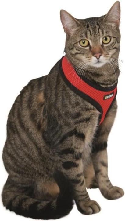 Actual product image Kerbl Active (One size, Cat, General)