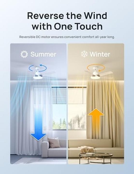 Actual product image Dreo Smart Ceiling Fan with Lights