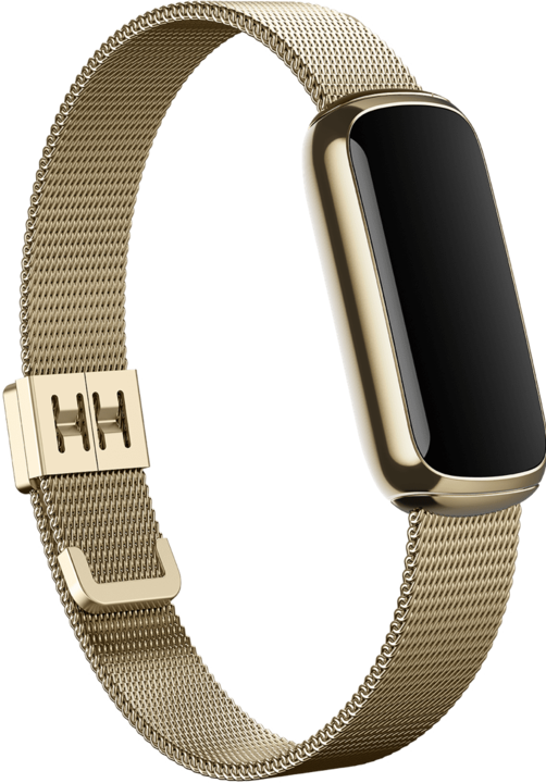 Actual product image Fitbit Luxe stainless steel bracelet (Stainless steel, One size)