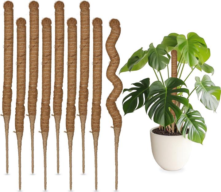 Immagine prodotto Relaxdays Kokosstäbe-Set (3 cm, 3 cm)