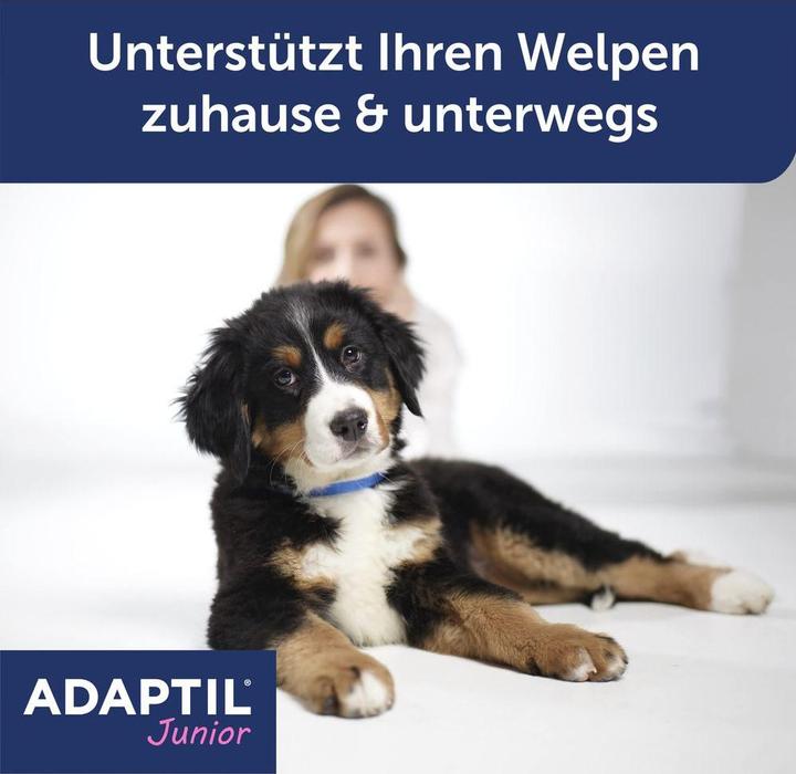 Image du produit Adaptil Collier Junior, réglable