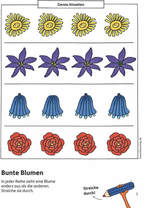 Produktbild Kindergartenblock - Gemeinsamkeiten & Unterschiede ab 4 Jahre (Deutsch, Ulrike Maier, 2018)
