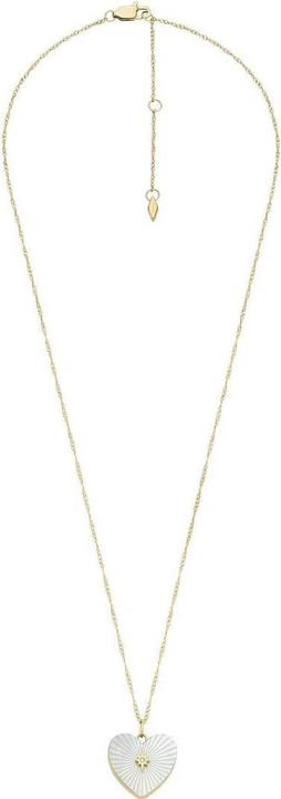 Produktbild Fossil Locket Collection (Stainless Steel, 40 cm)