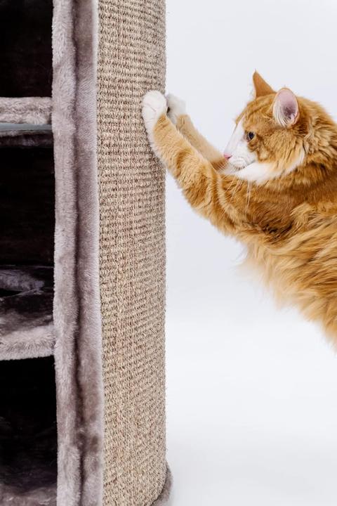 Produktbild Petrebels Superdome (120 cm, Braun)