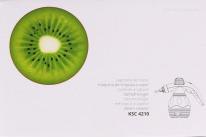 Actual product image Kiwi 350ml hand steamer + 9 accessories (3 bar, 1100 W)