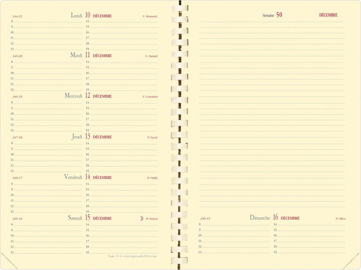 Immagine prodotto Quo Vadis Nota 15 S Soho Rose FR 2021 QV679049 rosa, 1W/2S 10x15cm (A6, 1 settimana / 2 pagine)