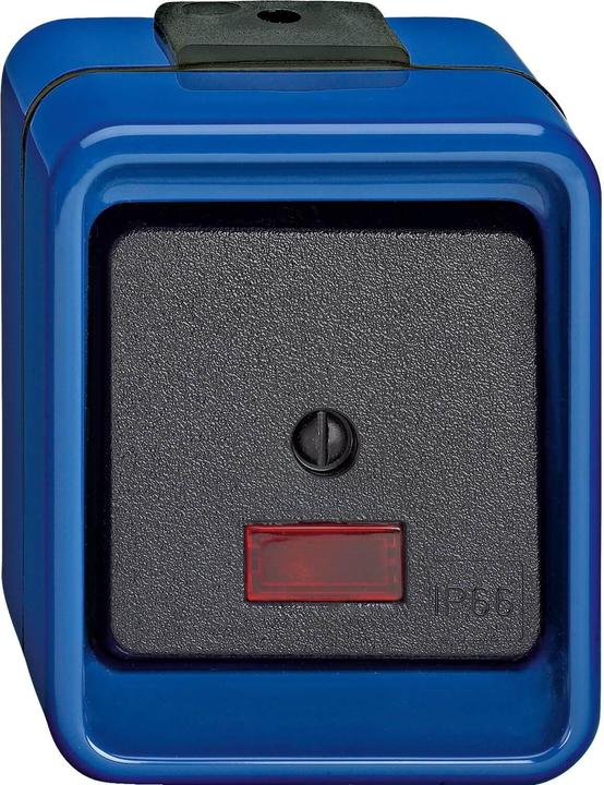 Actual product image Merten Rocker control switch Off 372275 2pin blue SHOCKPROOF