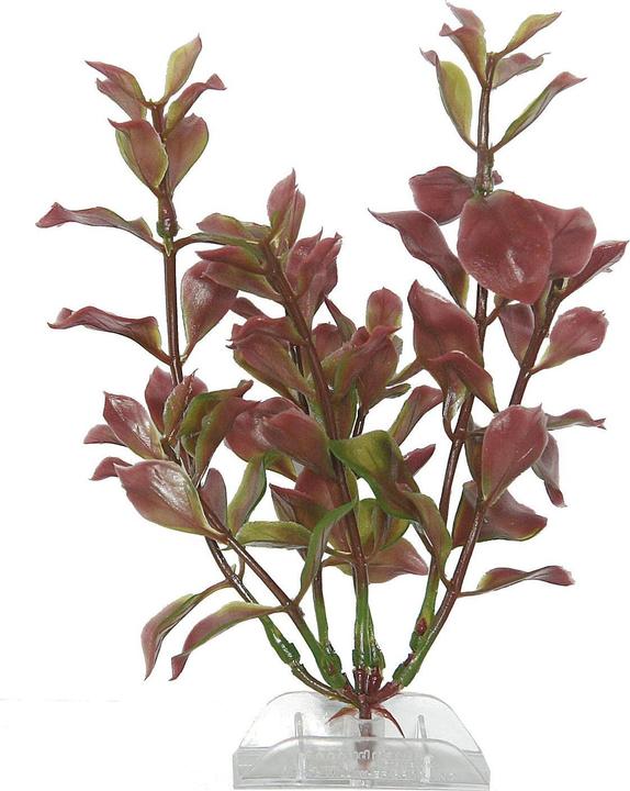 Immagine prodotto Tetra Plantastica rossa Ludwiga (Decorazione, Piante)