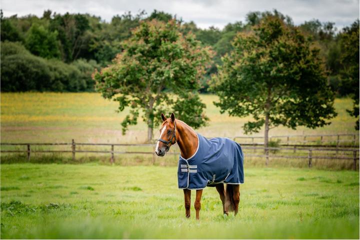 Horseware Ripstop Amigo 900 0g rug