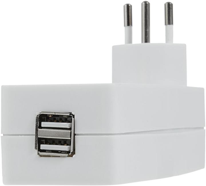 Actual product image Schönenberger Branch plug (Type 13, 2x)