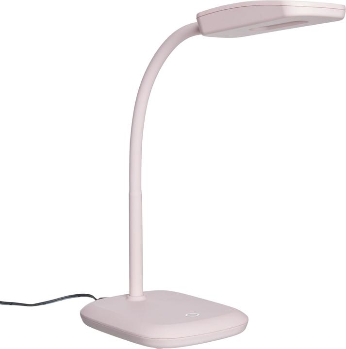 Actual product image micasa Primo Ii