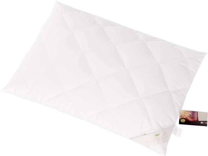 Immagine prodotto Erzstef Allergia Chemnitz (65 x 100 cm)