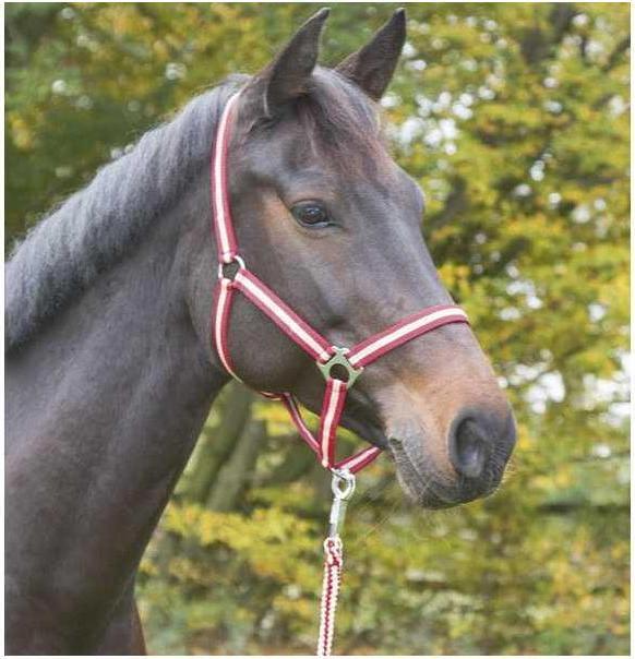 Immagine prodotto Kerbl ippopotamo