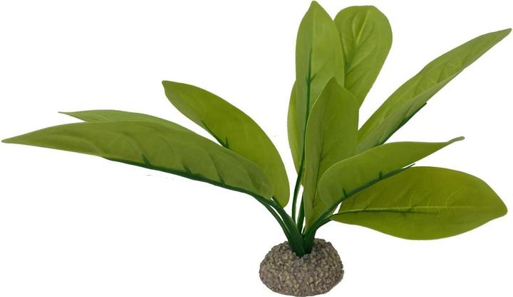 Image du produit EBI Aqua Della Echinodorus 3 (Décoration, autres éléments)