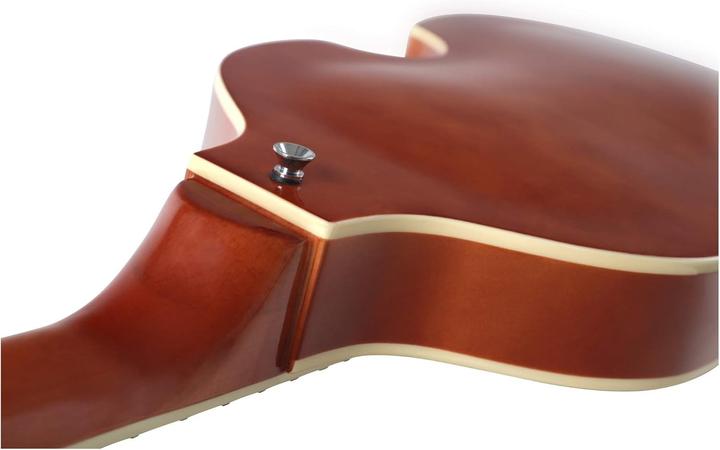 Image du produit Rocktile Basse Vintage Sir Paul Hollowbody 2 Humbuckers (Guitare semi-acoustique, Dessus de frêne fumé, Manche en érable, Plafond en tilleul, Touche en palissandre)