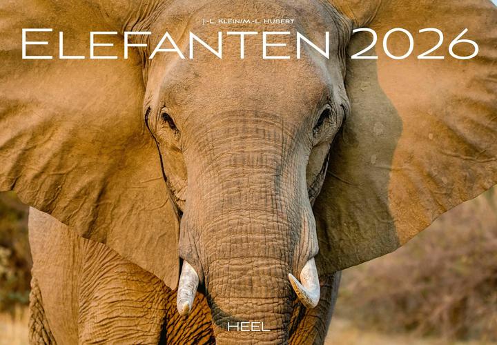 Produktbild Elefanten Kalender 2026