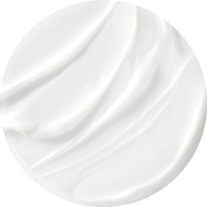 Actual product image Helena Rubinstein Re-PLASTY Age Recovery Day Cream (100 ml, Day cream)