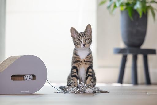 Produktbild Beeztees Kratzbrett Maus (Grau)