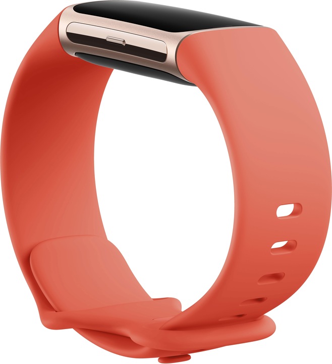 Image du produit Fitbit Charge 6 (36.73 mm)
