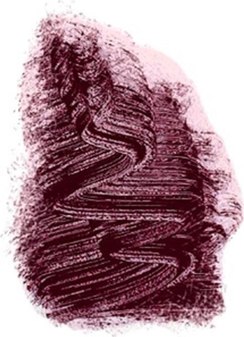 Actual product image Lady Green LADYGREEN Mascara Bourgogne 9ml (Burgundy)