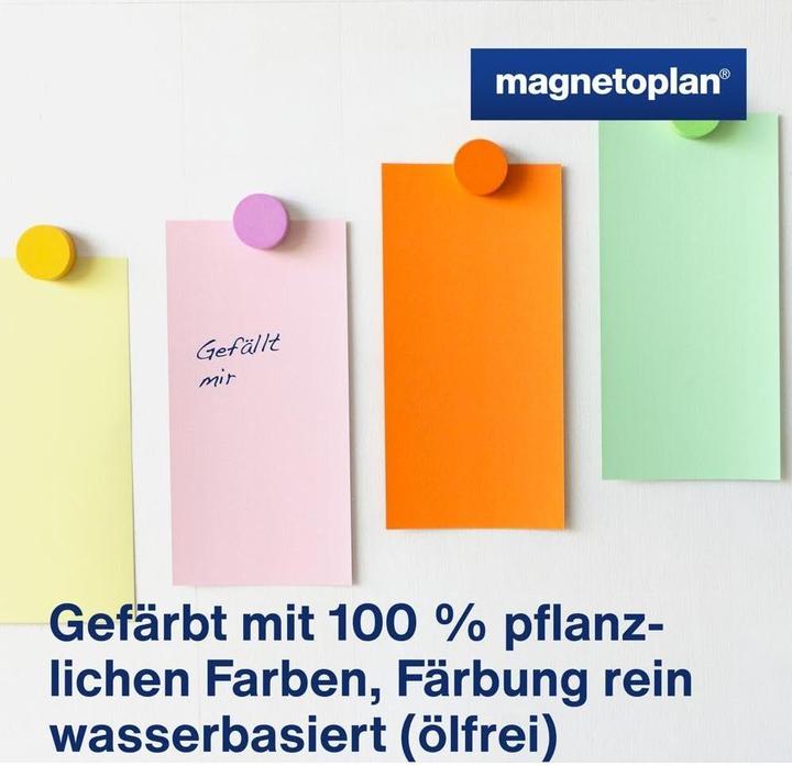 Image du produit Magnetoplan Fiches de présentation