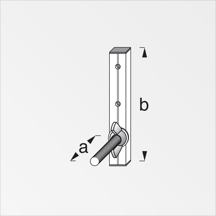Actual product image Alfer Rim holder type 19