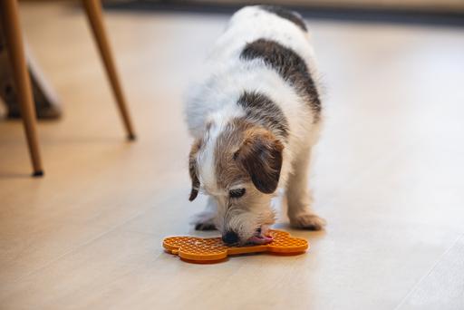 Actual product image Beeztees Lick mat bone