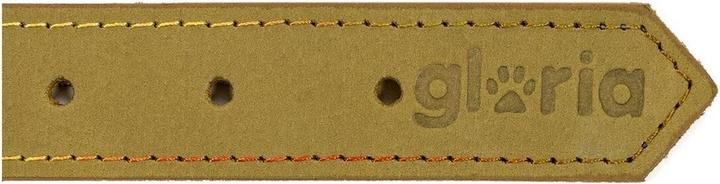 Image du produit Gloria Collier de chien Oasis 45cm vert (45 x 1,8 cm)