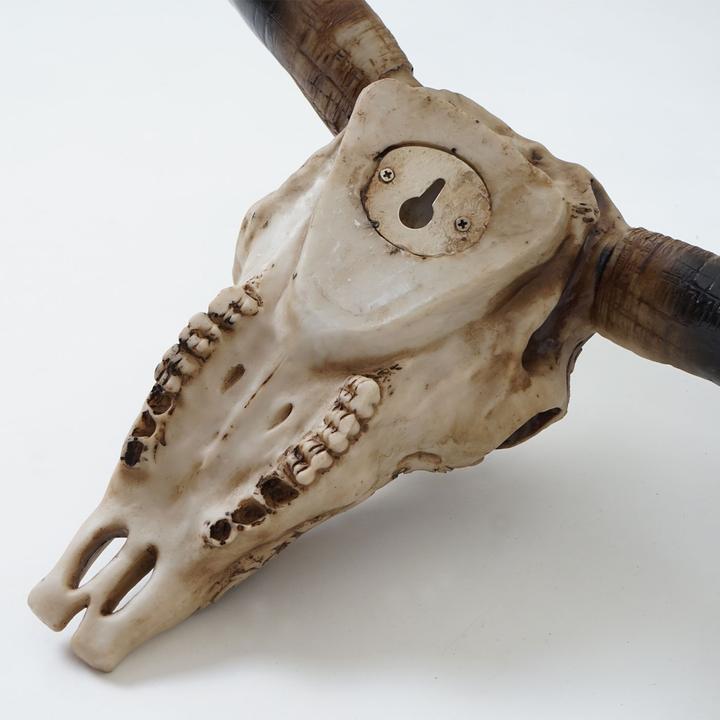 Produktbild JOHN316 Deko Schädel