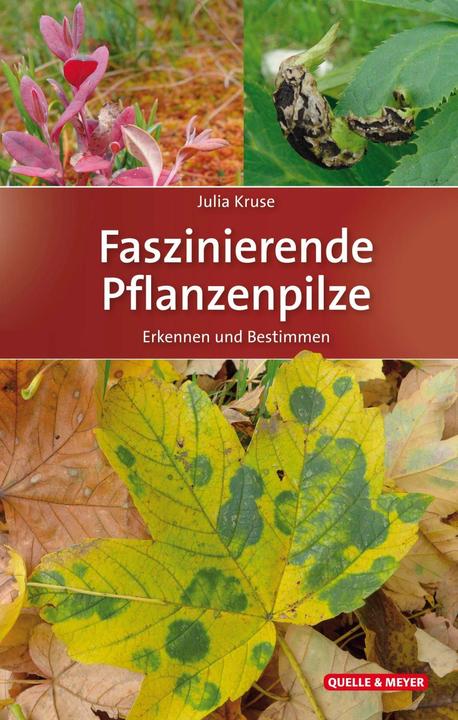 Produktbild Faszinierende Pflanzenpilze (Deutsch, Julia Kruse, 2019)