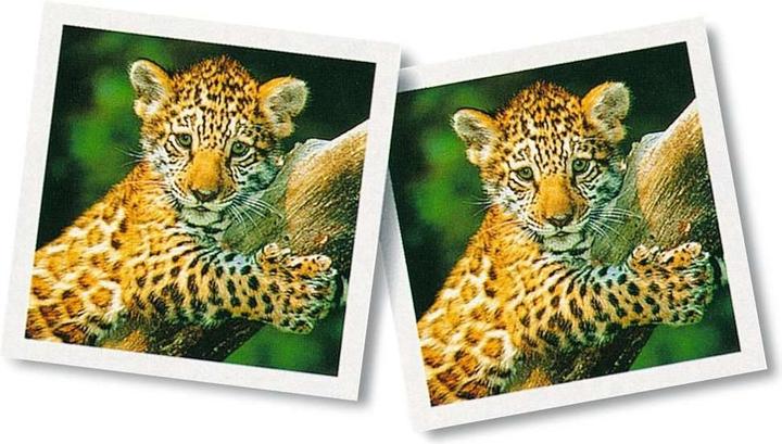 Image du produit Ravensburger La mémoire des bébés animaux (Allemand)