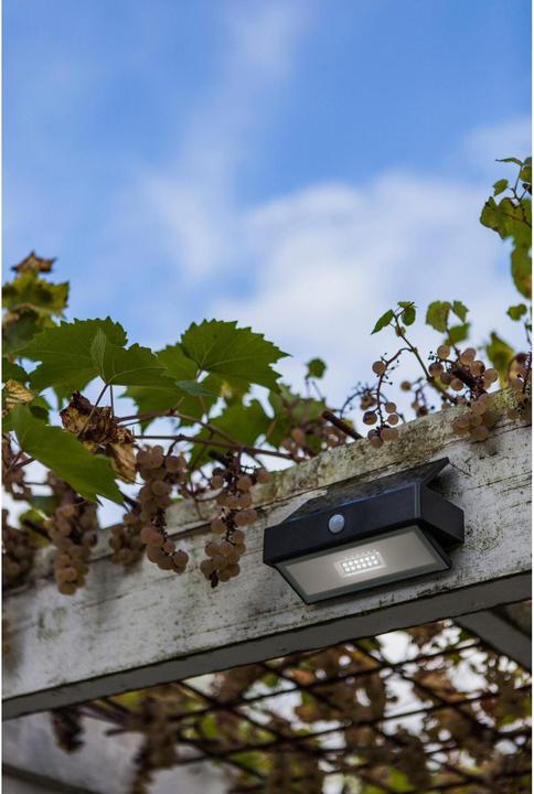 Actual product image Lutec Arrow (180 lm, IP44)