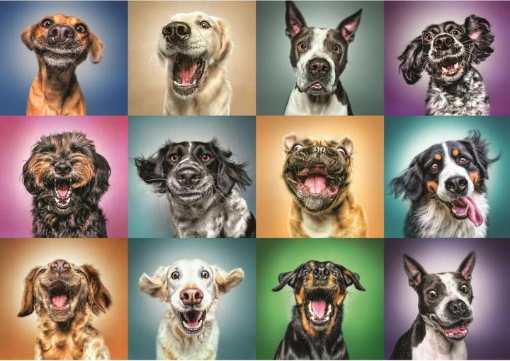 Immagine prodotto Trefl Puzzle 1000 pc (1000 pezzi)