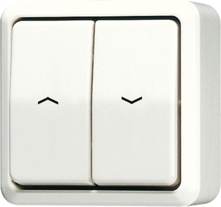 creamy white, electric white, Ivory, White