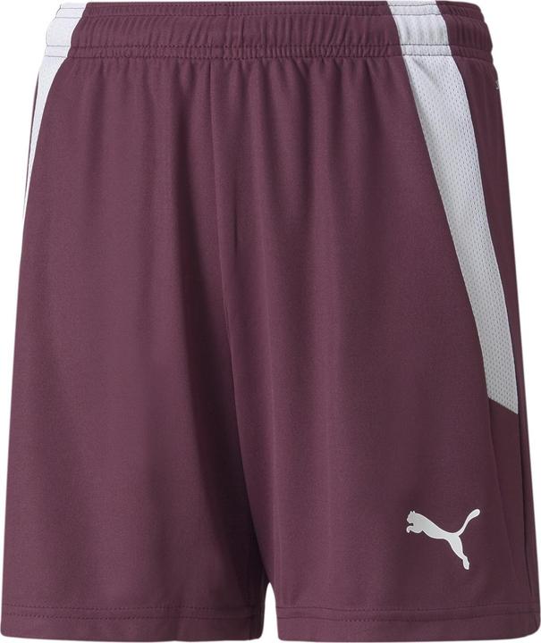 Image du produit Puma short teamLIGA Jr-704931 (116)