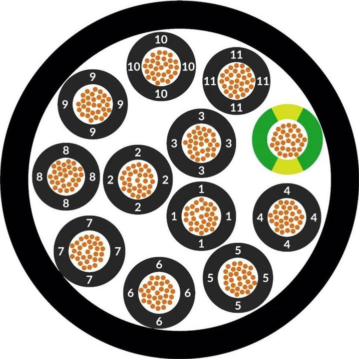 Image du produit Lapp ÖLFLEX CLASSIC 128 (100 m)