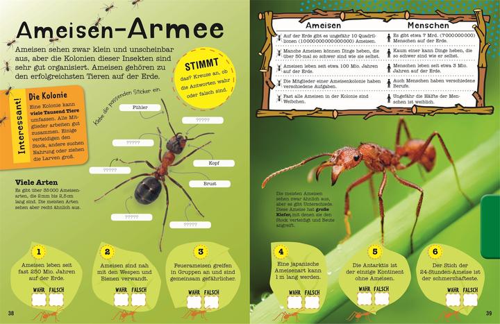 Produktbild Das Mach-Malbuch Insekten