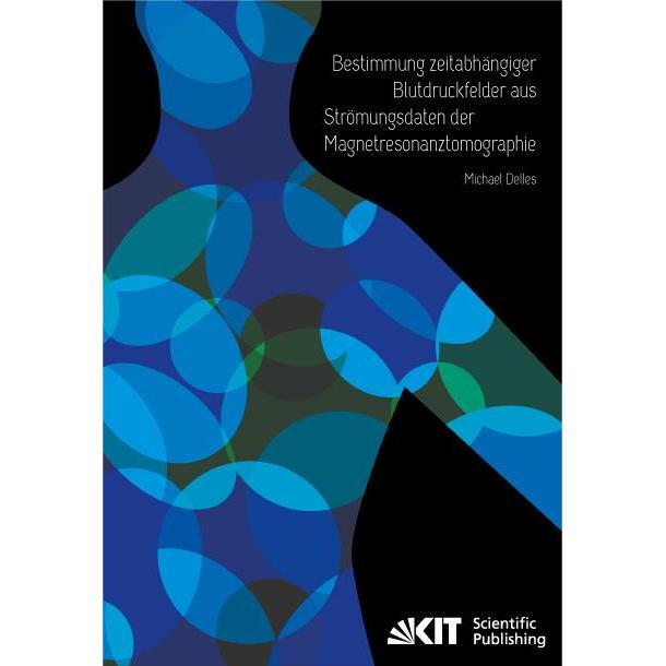 Bestimmung zeitabhängiger Blutdruckfelder aus Strömungsdaten der Magnetresonanztomographie, Fachbücher von Michael Delle...