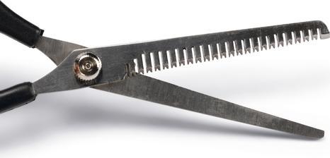 Actual product image Beeztees Bz Effiliation Scissors Dog Black (Dog)