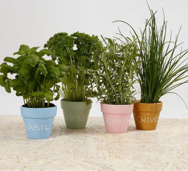 Image du produit Creativ Company Pot de fleurs 24 pièces (7 x 7 cm)