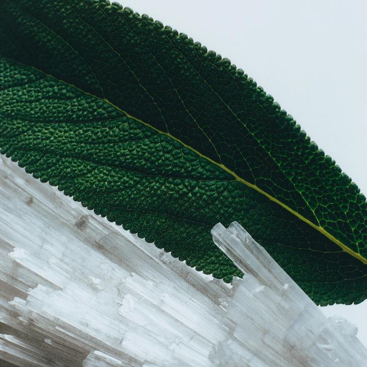 Actual product image Jo Malone Wood Sage & Sea Salt (Eau de cologne, 100 ml)