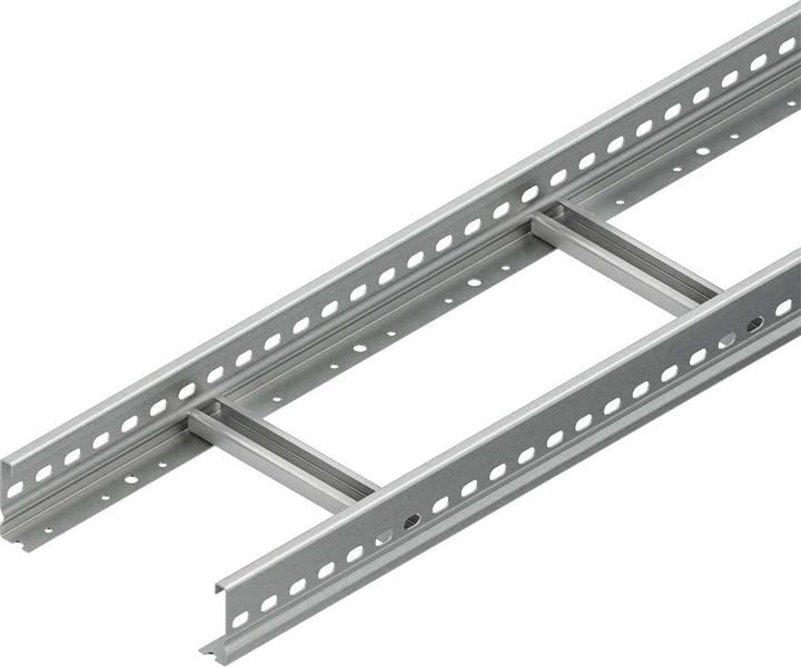 Niedax NIE STL60.203/3 Klimladder 60x200x3000 Sportafstand 300mm 1 kN