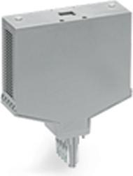 Actual product image Wago Empty plug type 16